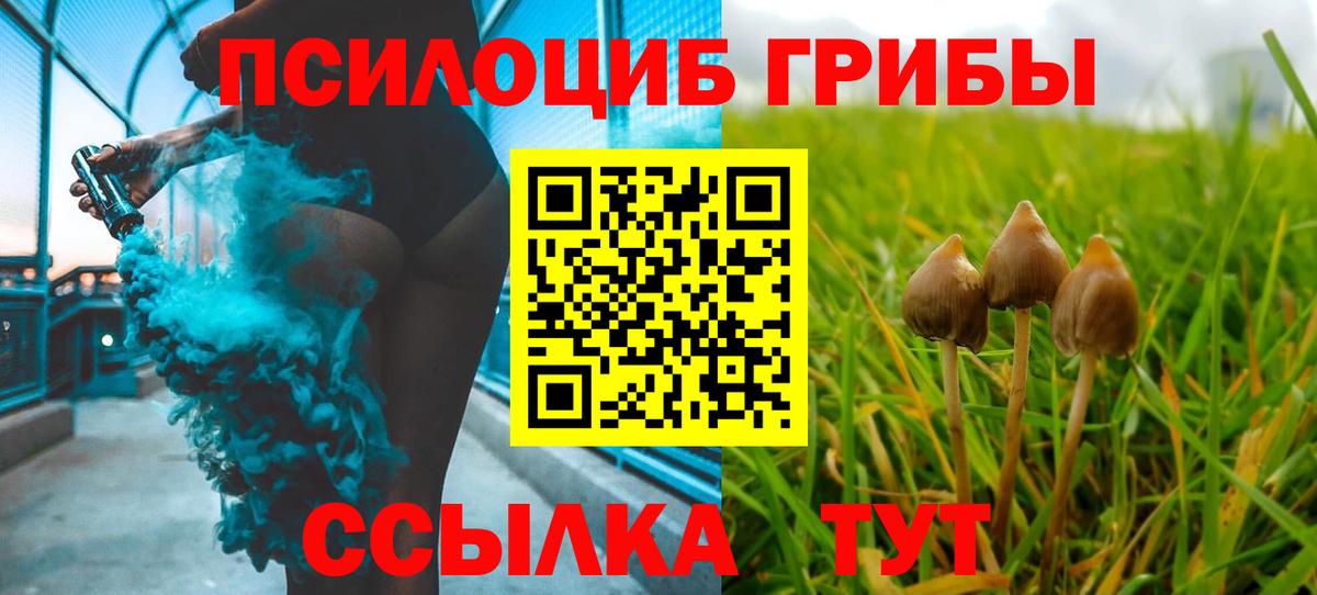 Псилоцибиновые грибы мицелий  Вход с VPN  Архангельск 